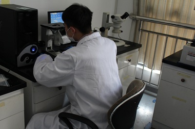 非金屬夾雜檢測(cè)