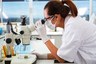 珠光體檢驗(yàn)