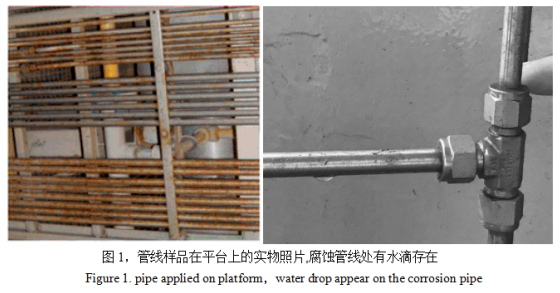 海洋平臺儀表氣管線腐蝕研究