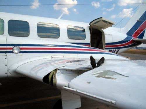 飛機滿載燃油空中撞鳥起火，為什么總是發動機最受傷