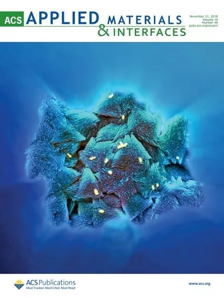 基因調(diào)控為鋼鐵材料穿上仿生外衣 上海海事大學(xué)在微生物腐蝕領(lǐng)域研究取得新進展