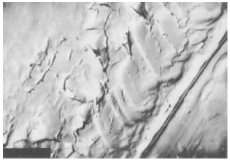 精密機(jī)床主軸軸承磨損失效分析