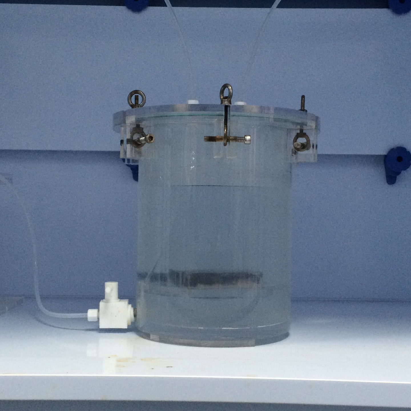 HIC腐蝕試驗(yàn)——容大檢測(cè)