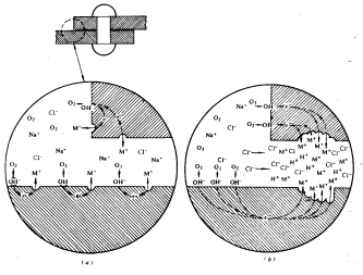 焊縫縫隙腐蝕檢測|不銹鋼縫隙腐蝕測試|金屬縫隙腐蝕試驗