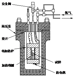 焊縫氫剝離試驗(yàn)|加氫反應(yīng)器氫剝離試驗(yàn)|ASTM G146試驗(yàn)