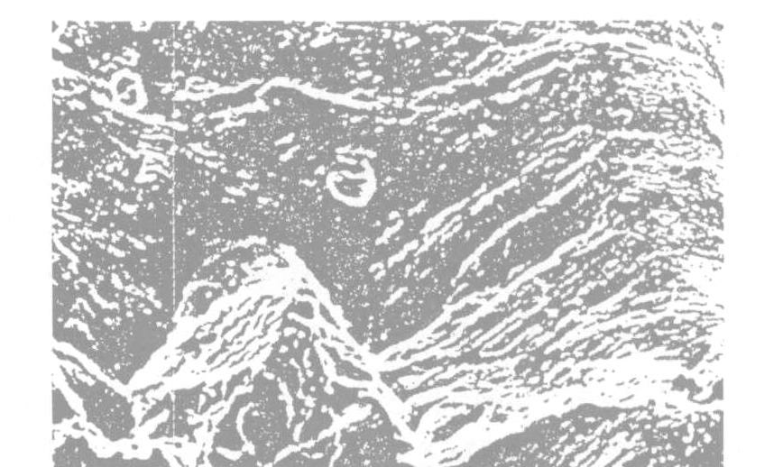 斷裂原因檢測|斷裂失效測試|開裂失效分析|開裂原因分析