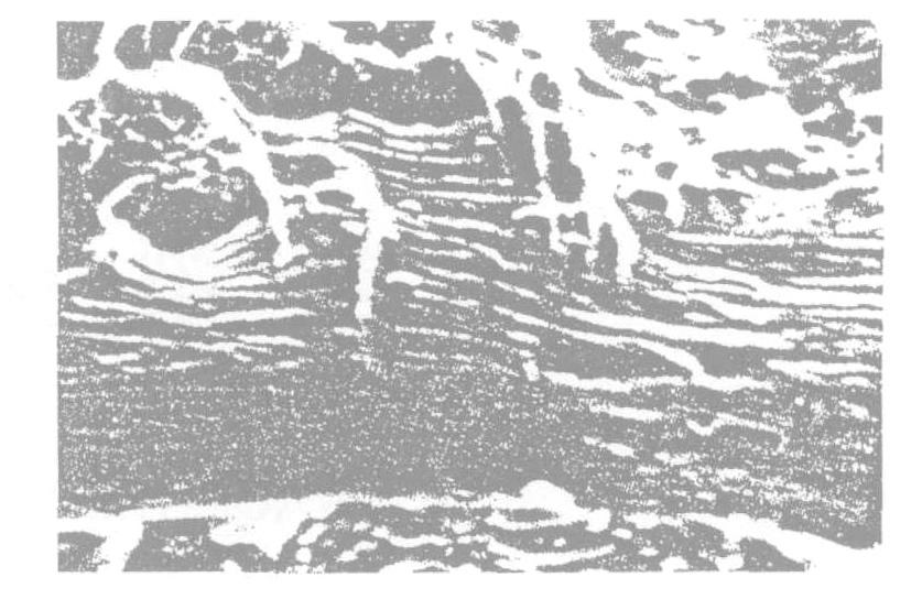 斷裂原因檢測|斷裂失效測試|開裂失效分析|開裂原因分析
