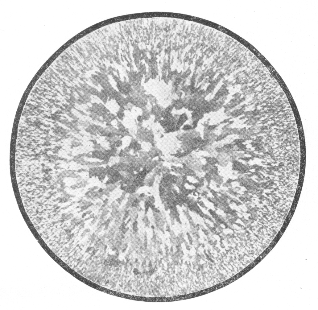 酸蝕低倍組織檢驗|S印檢驗|P印測試|塔形發紋試驗