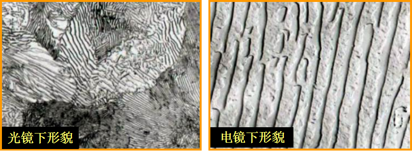 珠光體檢驗(yàn)|珠光體試驗(yàn)|珠光體檢測(cè)|珠光體測(cè)試