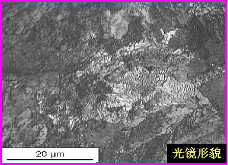 珠光體檢驗(yàn)|珠光體試驗(yàn)|珠光體檢測(cè)|珠光體測(cè)試