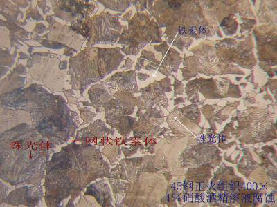 不銹鋼鐵素檢驗|鐵素體含量檢測|鐵素體分布測試|鐵素體大小檢驗