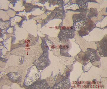 不銹鋼鐵素檢驗|鐵素體含量檢測|鐵素體分布測試|鐵素體大小檢驗