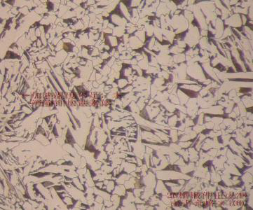 不銹鋼鐵素檢驗|鐵素體含量檢測|鐵素體分布測試|鐵素體大小檢驗