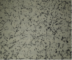 不銹鋼金相分析|不銹鋼金相檢驗(yàn)|不銹鋼金相檢測(cè)