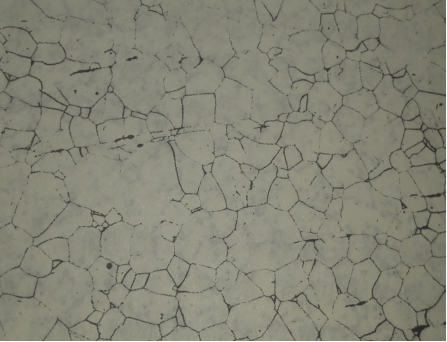 不銹鋼金相分析|不銹鋼金相檢驗(yàn)|不銹鋼金相檢測(cè)